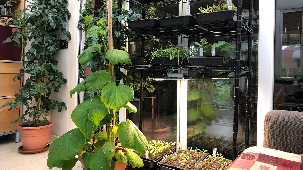 Is it all worth it ~ does year round gardening really pay?