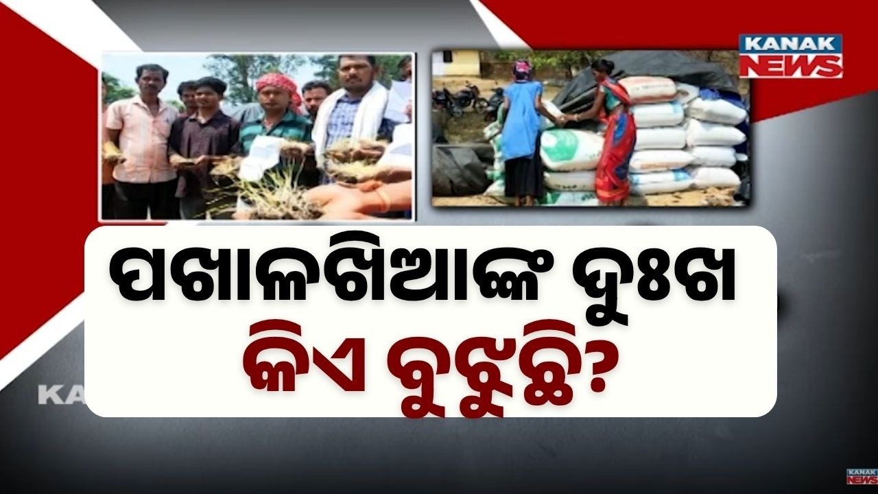 Pakhal Divas Reality Check: Farmers in Distress | Paddy Rotting in Mandis of Odisha