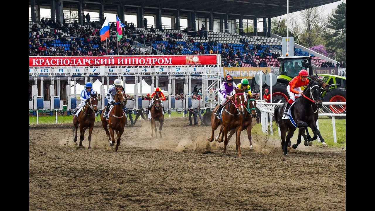 Скачки в честь Дня защиты детей на Краснодарском ипподроме. 8 июня 2024 год
