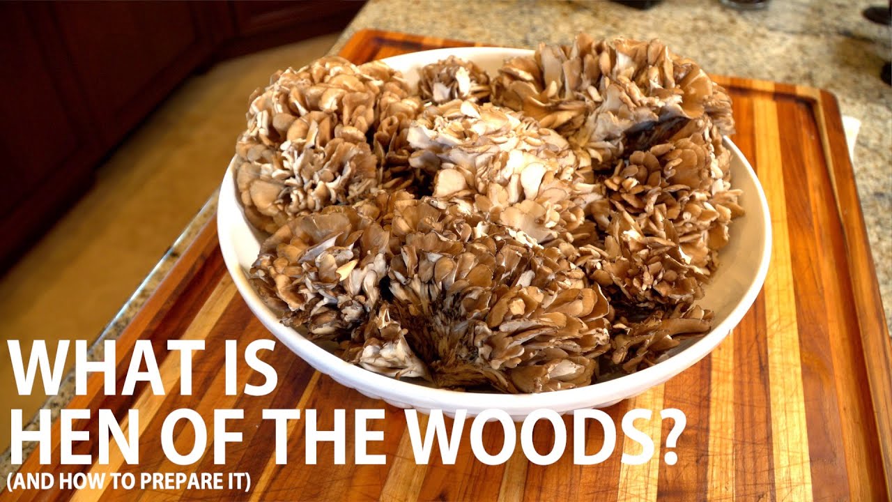 What is Hen of The Wood (And How to Prepare It)