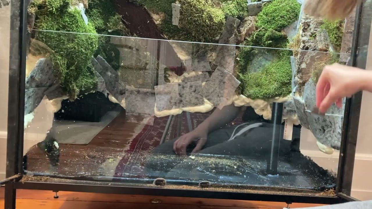 Ikea Cabinet Terrarium Bild, Part 1