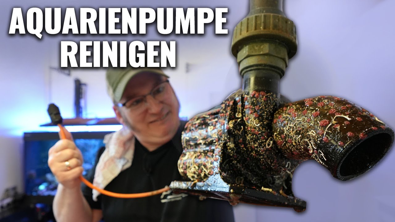 Tipp für Aquarianer - PUMPE RICHTIG REINIGEN - Abyzz