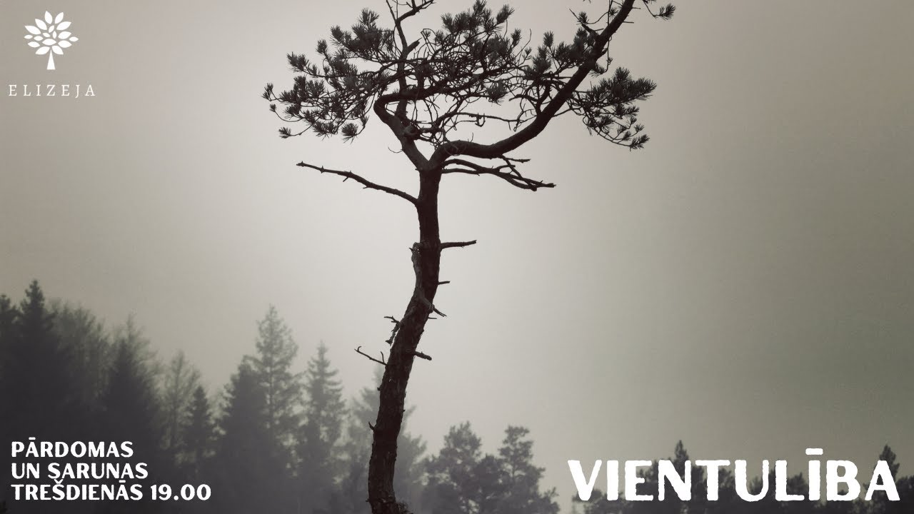 DZĪVE XXI GADSIMTĀ – Vientulība (I)