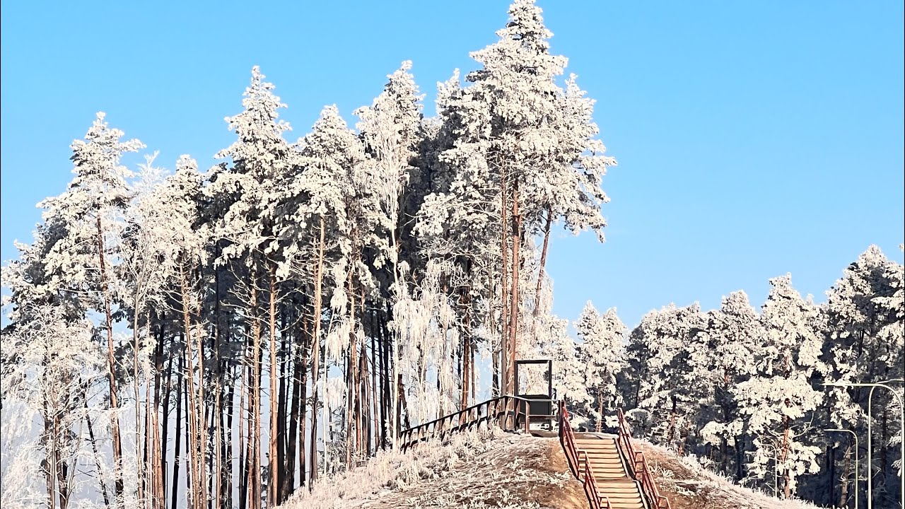 2.02.2026 Przekop Mierzi (wspomnienie)