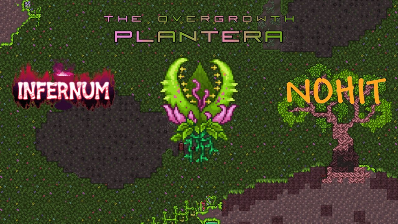 Plantera Nohit Infernum Mode