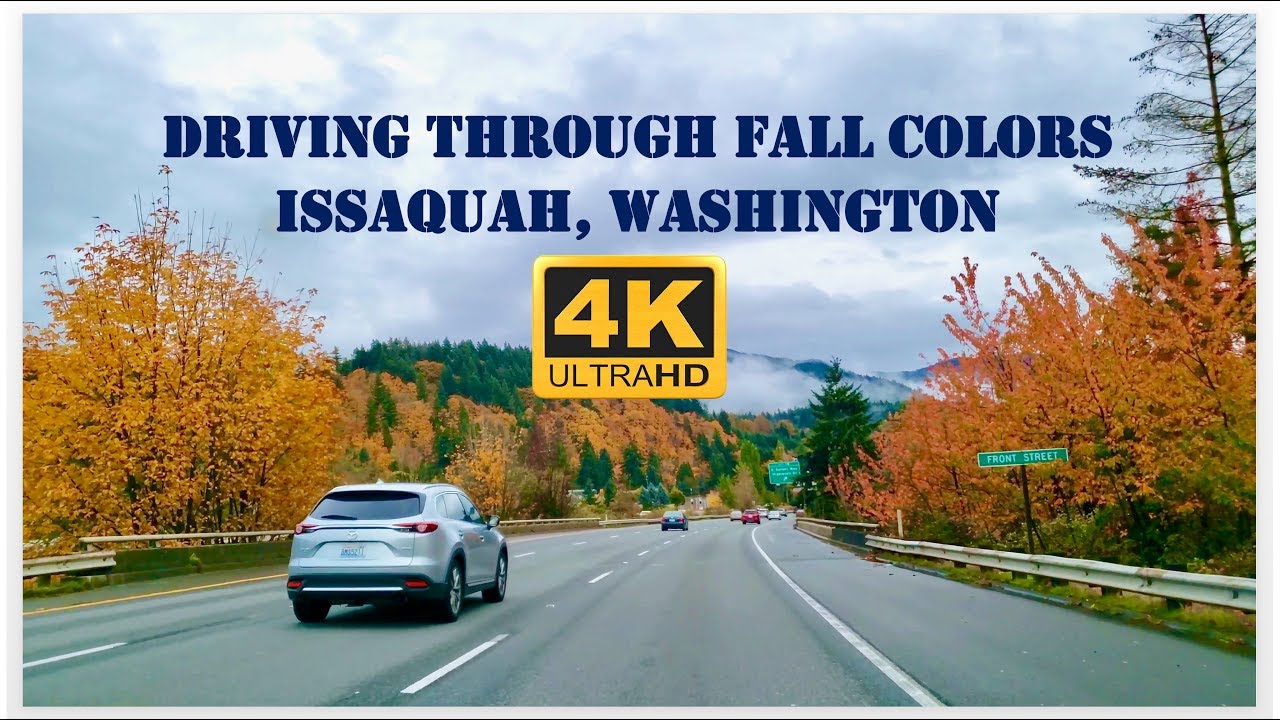 Driving through Fall Colors Autumn Foliage Issaquah, Washington 2019 4K Ultra HD