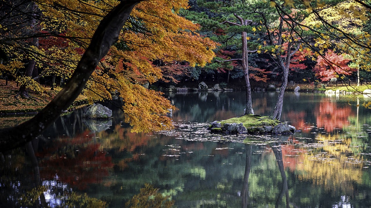 Cancer October 2018 Astrology Reading Forecast: Developments on the Home Front!