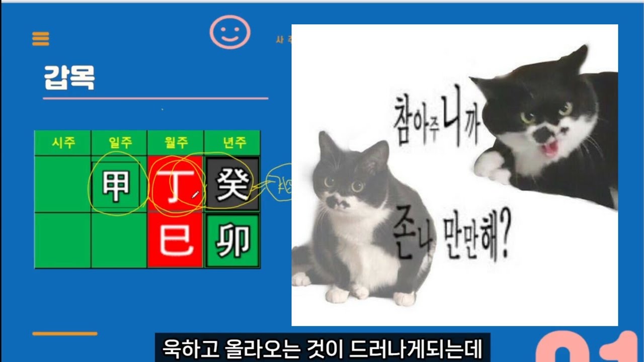 정사월 5월 일간별 운세