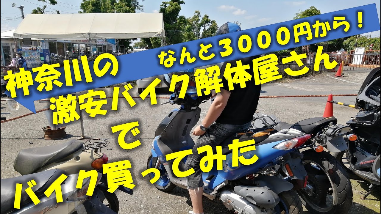 激安車両多数！！なんと3000円～？！激安バイク天国湘南ジャンクヤード！！