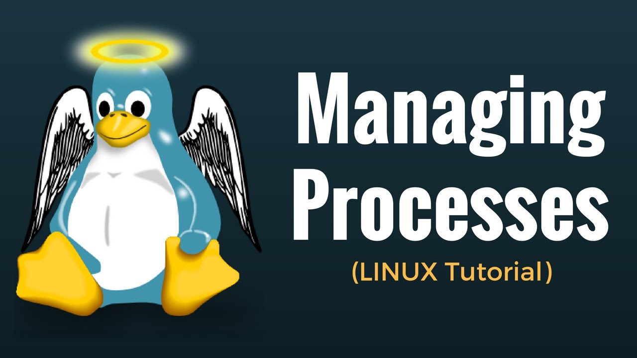 Управление процессами - Linux Tutorial 13