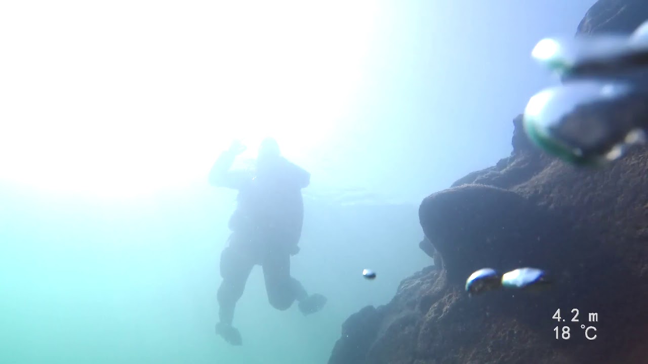 Tauchen im Rhein bei Rheinau 21.09.2019