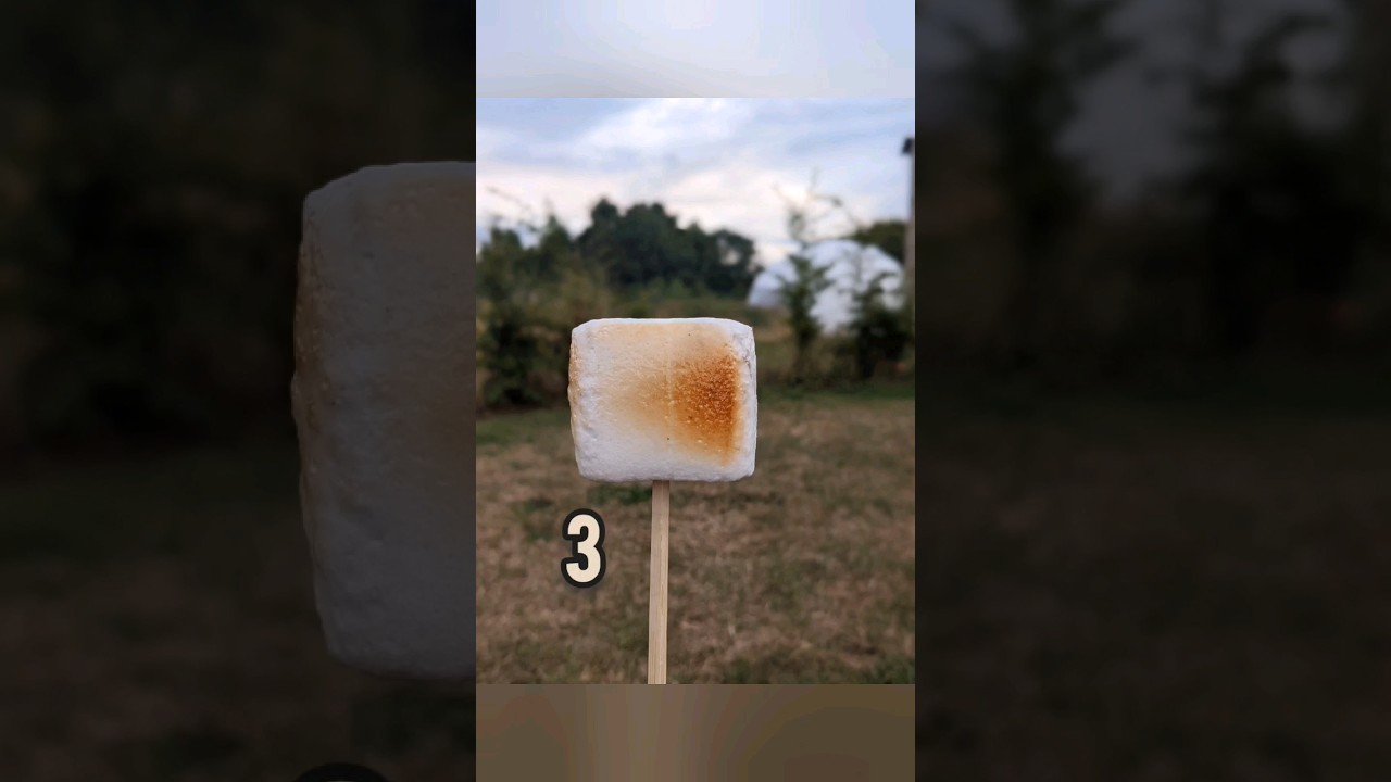 What's the best way to roast marshmallows on the campfire? 🔥 #glamping