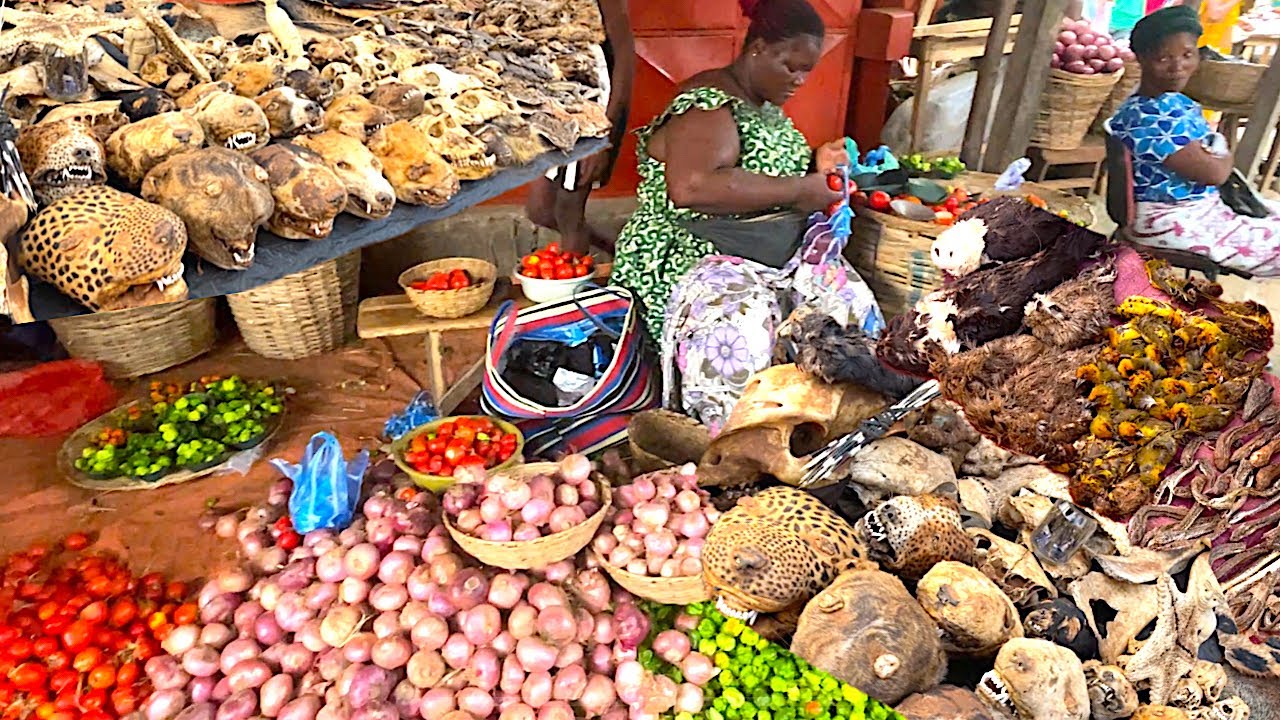 ANFOIN AND VOGAN Compilation - Rural Organic African Outdoor Market In West Africa Togo