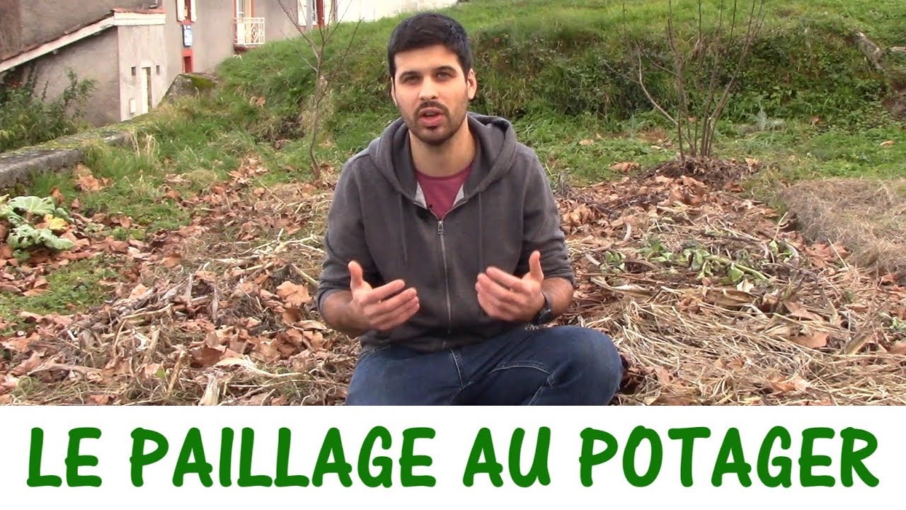 LE PAILLAGE AU POTAGER / Les diff&eacute;rents types de paillage (foin, paille, etc)