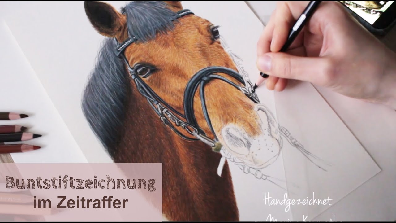 Time Lapse Pferdeportrait I 6 Stunden Zeichnung in 2:13 min I Buntstiftzeichnung
