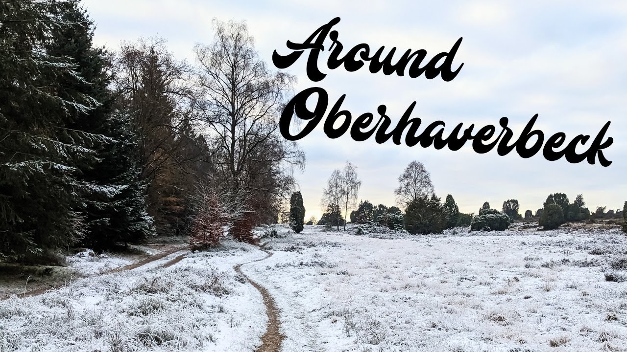 Frosted Lüneburg Heath | Walks
