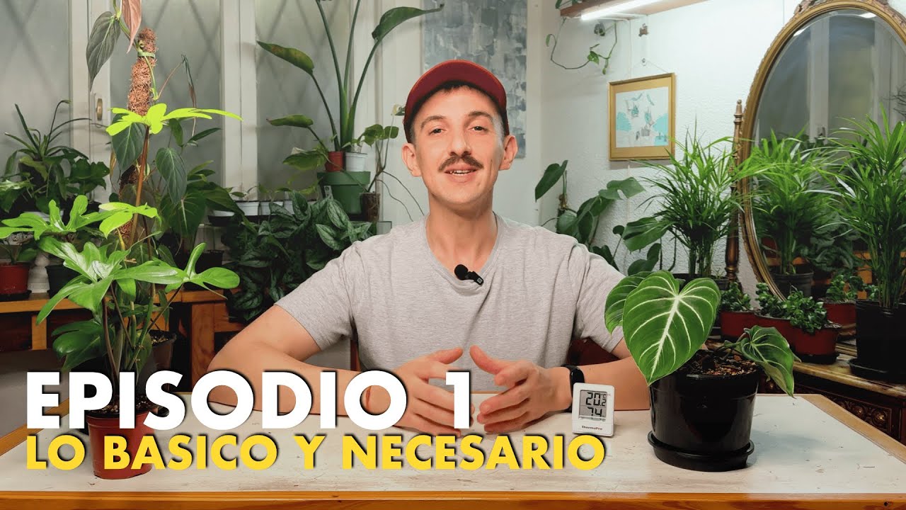🌱 Episodio 1 - Lo básico y necesario