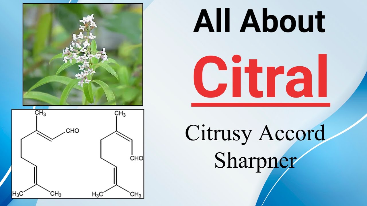All About Citral in Perfumery || Citrus Note Sharpner || Aroma Chemicals Detailed Discussion