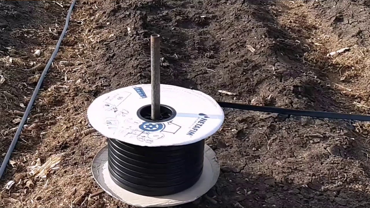 Drip Irrigation  Sugarcane