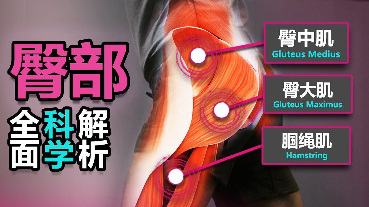 臀部究极训练解析【9篇科学研究】【究极训练解析】【科学解析】