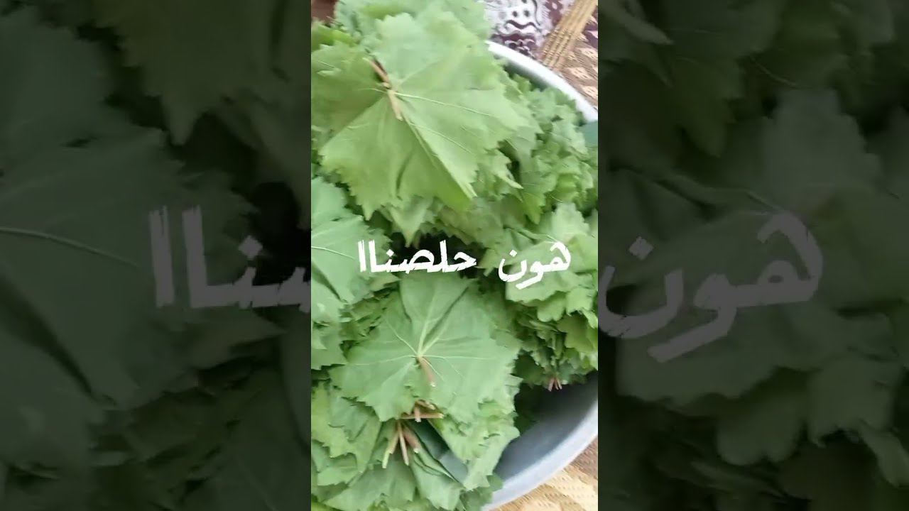 اقضو معي يومي، الجميل تسوق طبخ،😚لا تنسو الاشتيراك