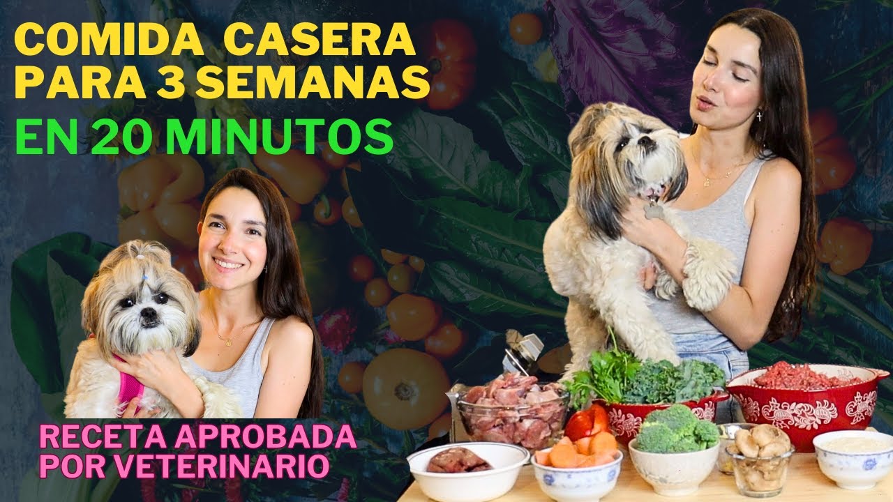 Comida para perros | FÁCIL, NATURAL Y ECONÓMICA | Es con Acento