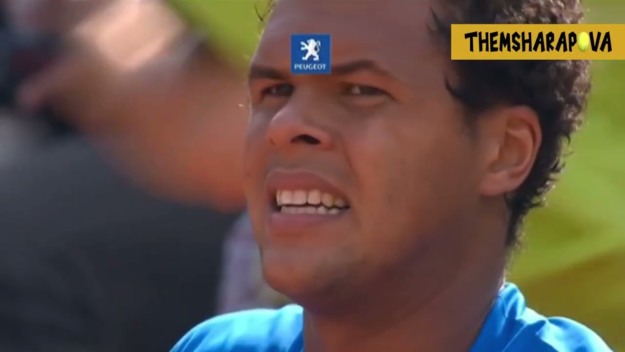 Juan Martin Del Potro vs Jo-Wilfred Tsonga RG 2009 Highlights