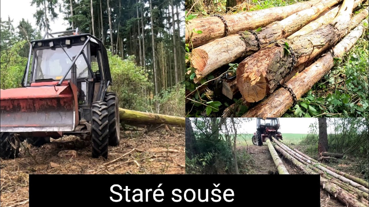 Těžba dřeva, staré souše, Zetor 7245, Agama aga 2, Stihl Ms 462,@jpforest8882