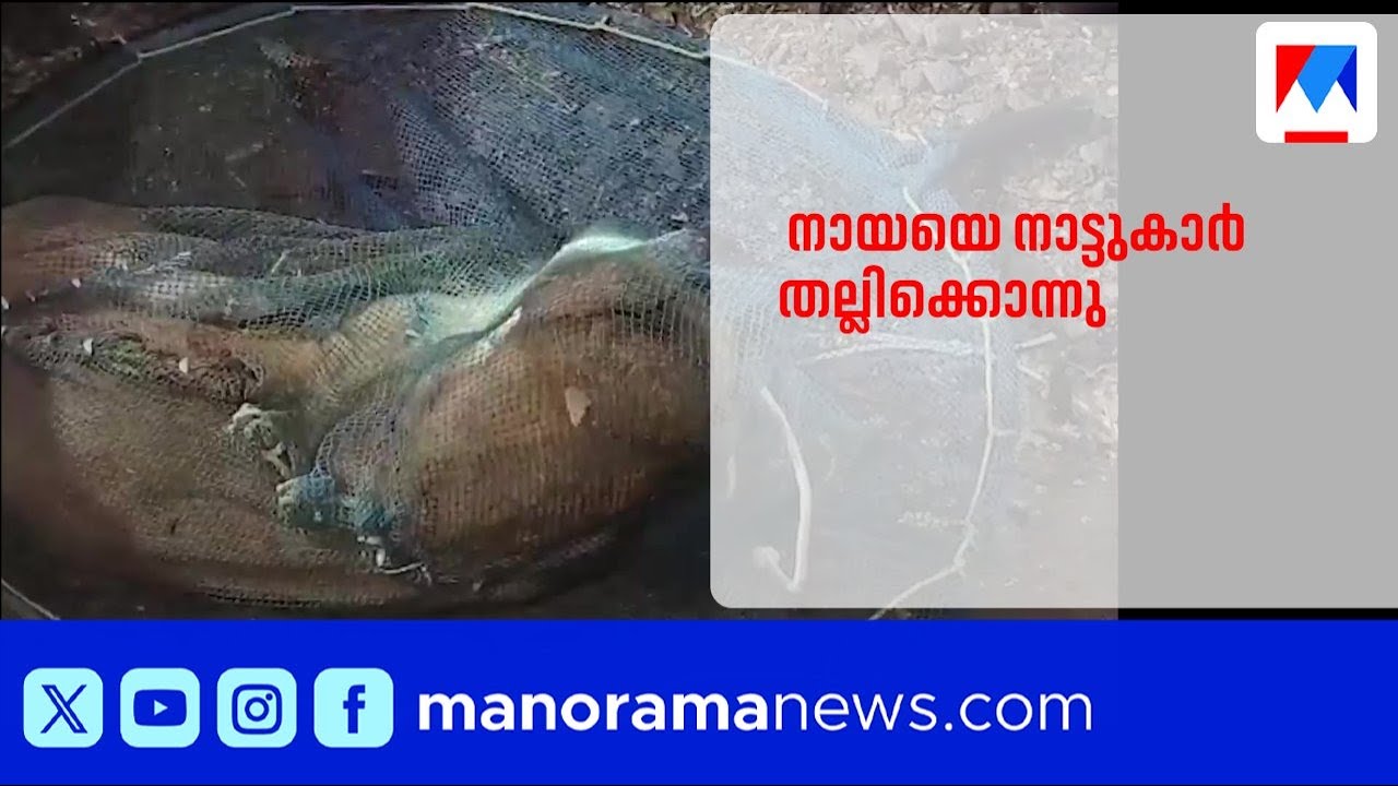 കിടപ്പുരോഗിയെ നായ കടിച്ചു കൊന്നു; നായയെ നാട്ടുകാർ തല്ലിക്കൊന്നു |ThrissurDogAttack