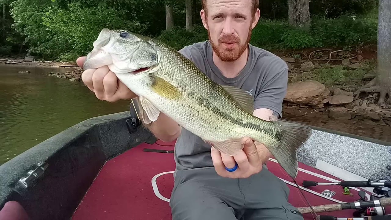 Lake Lookout bass fishing