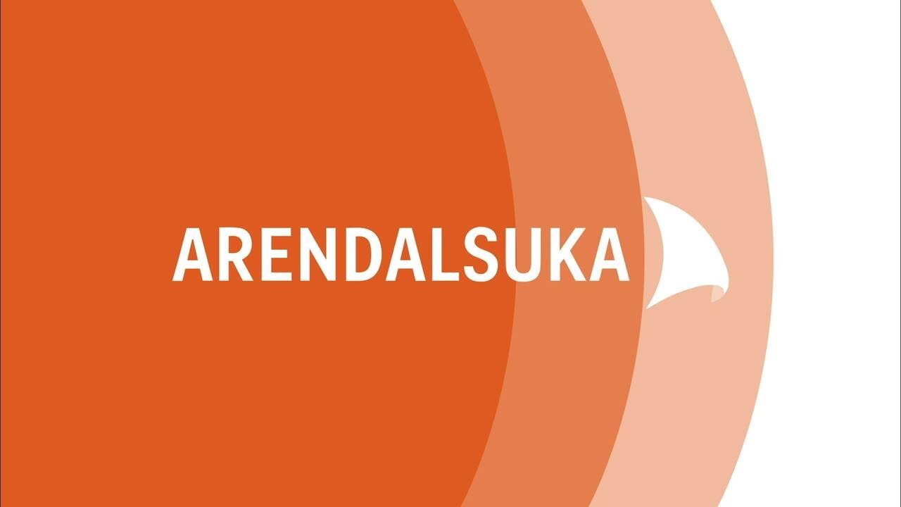 Ungdomspartilederdebatten