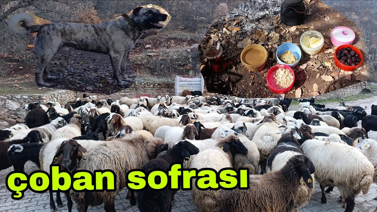 HAVA ŞARTLARINA GÖRE DAĞA GİDİYORUZ 