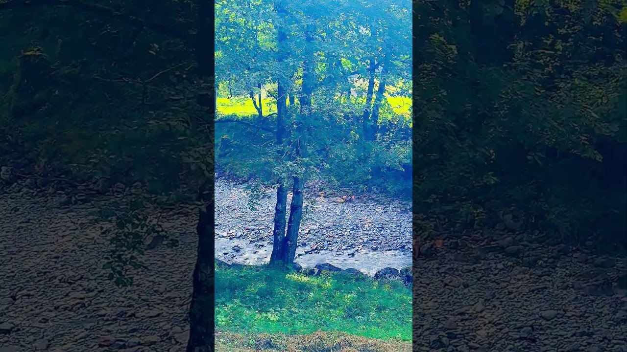 A rushing creek near Trümmelbach 