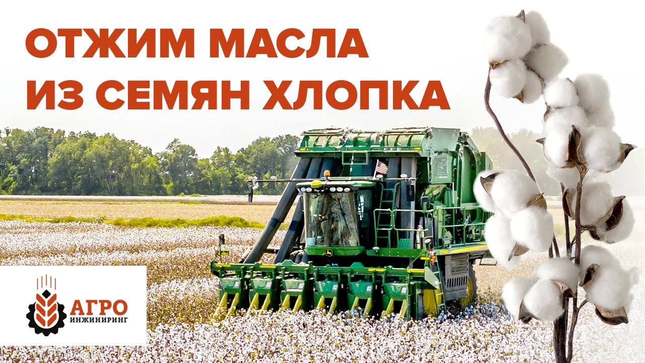 Производство хлопкового масла. Провели эксперимент по отжиму семян хлопка на нашем маслопрессе.