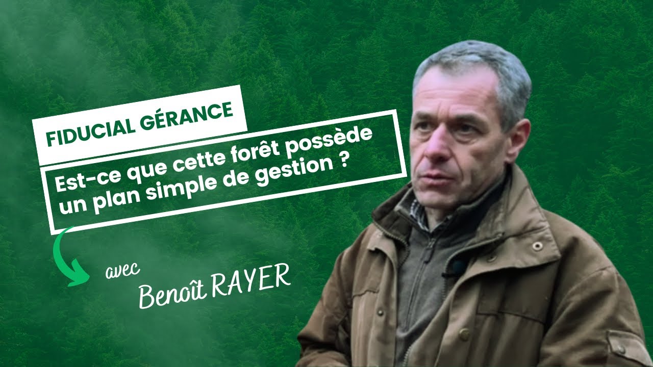 Fiducial Gérance : est-ce que cette forêt possède un plan simple de gestion ?