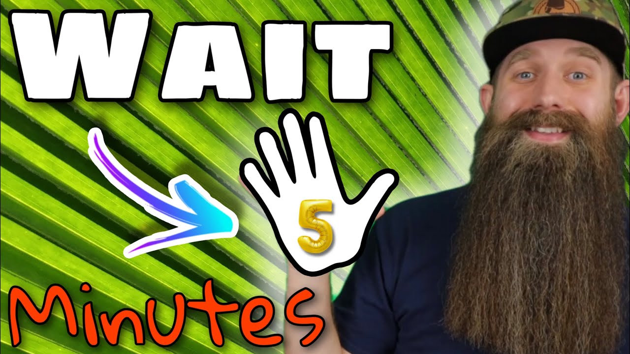 Why Let Beard Oil Settle 5 Min Before Heat or Other Products - Explained!
