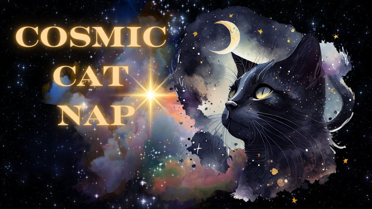 Yoga Nidra meditation in the stars ✨ - 20 minutes Cosmic Cat Nap