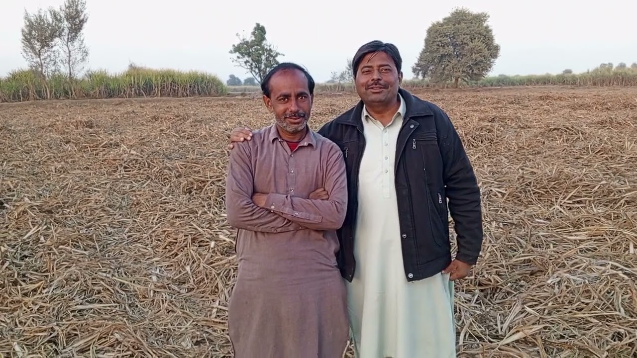 Sugarcane Loading Documentary (English)