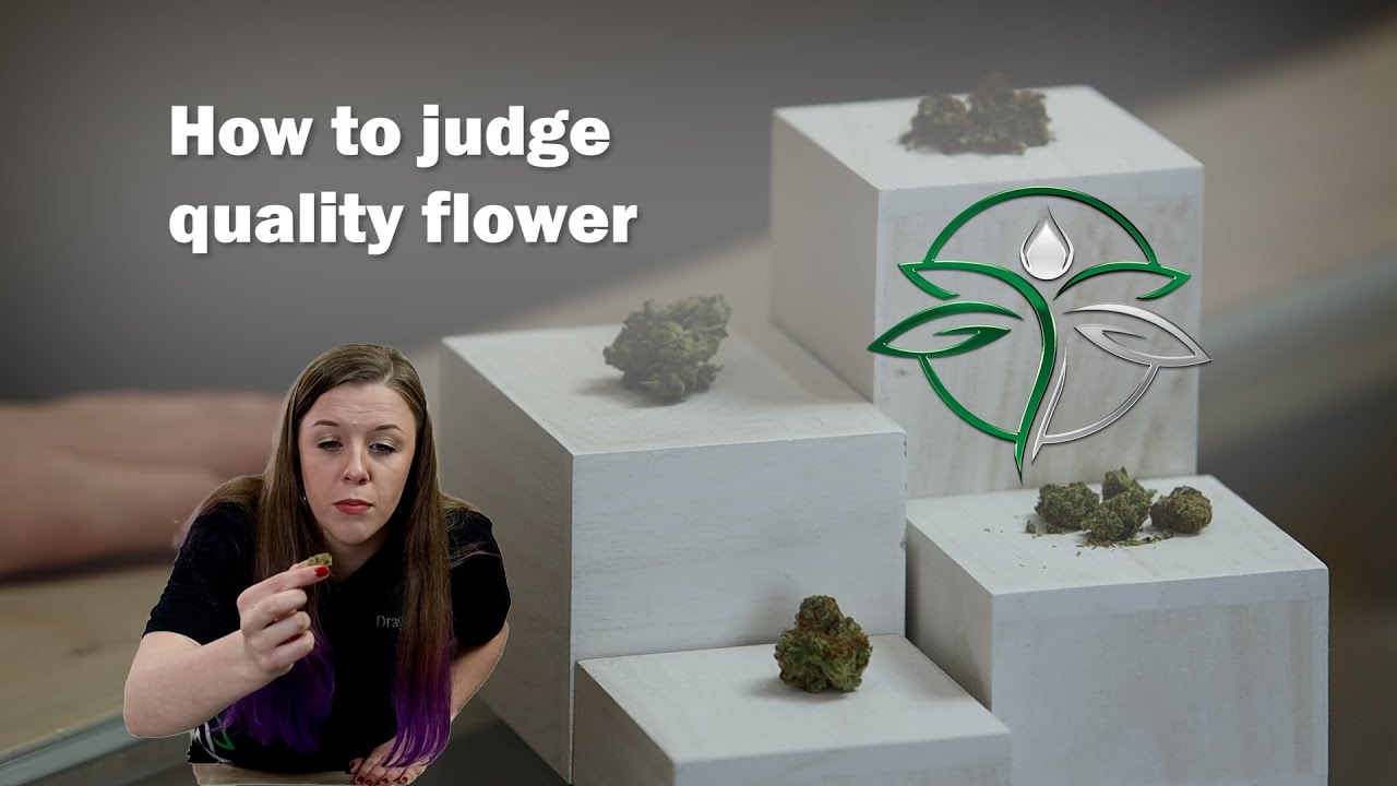 Utah - Medical Cannabis | How to judge quality flower