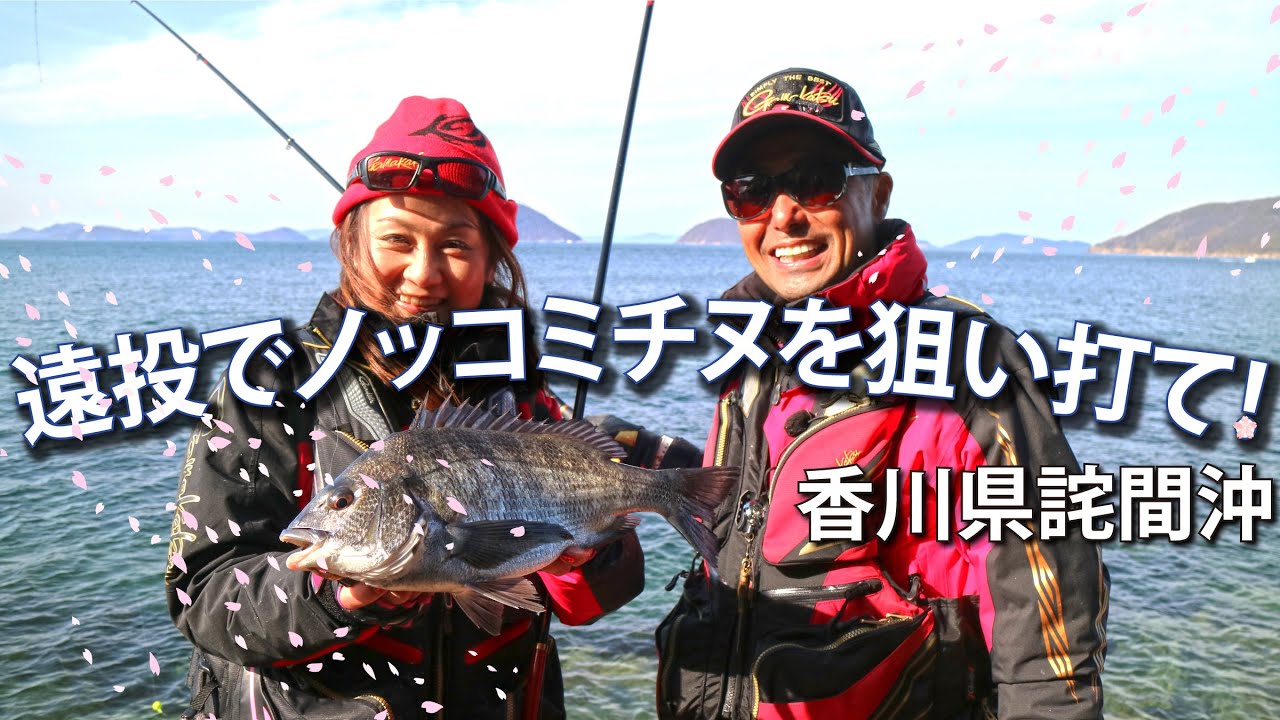 磯フカセ・春のノッコミチヌの攻略法とは？！