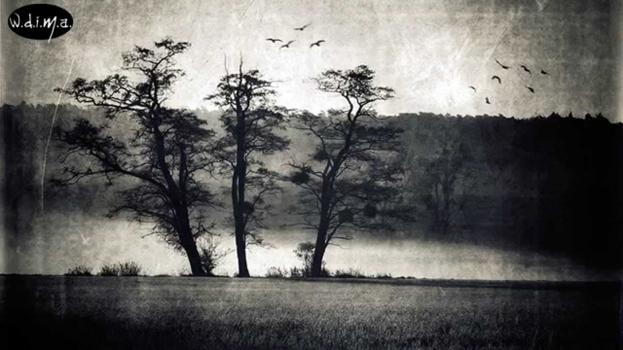 A Light In The Dark - Forget The Past