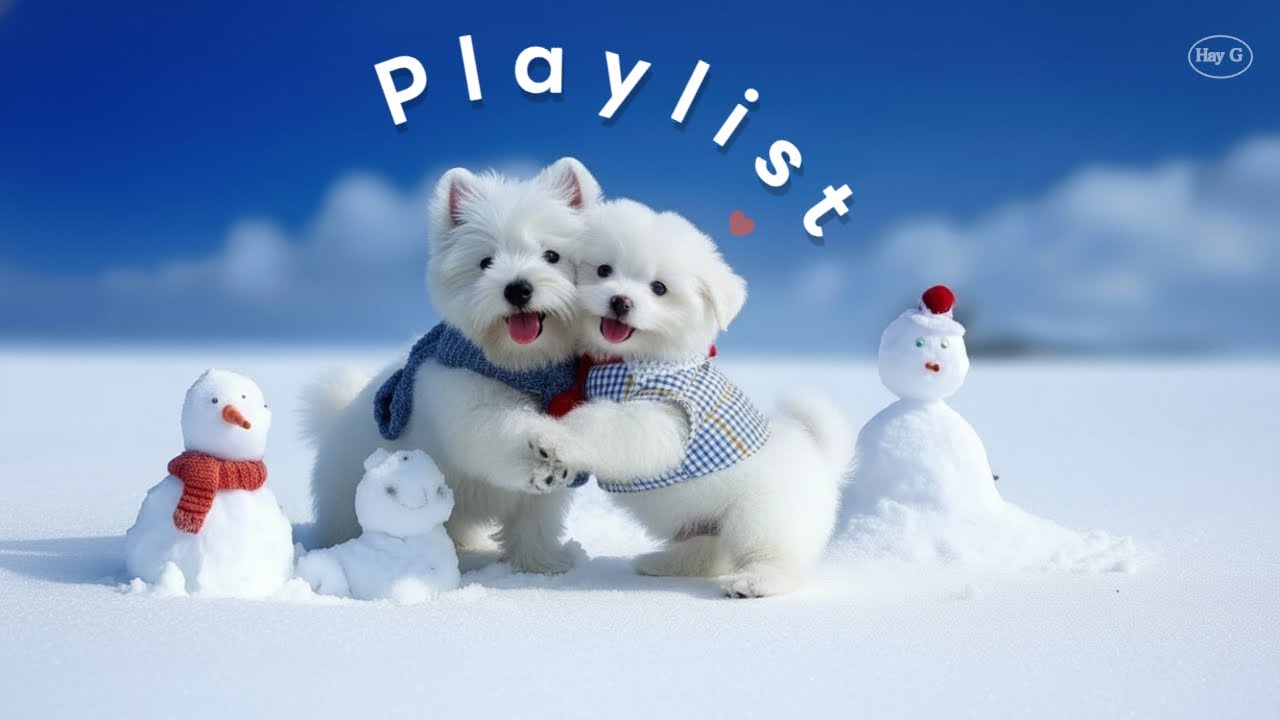 Playlist💙 Лучшая поп-музыка, цепляющая за 5 секунд | Без рекламы, Для кафе, работы, учебы | Hay G