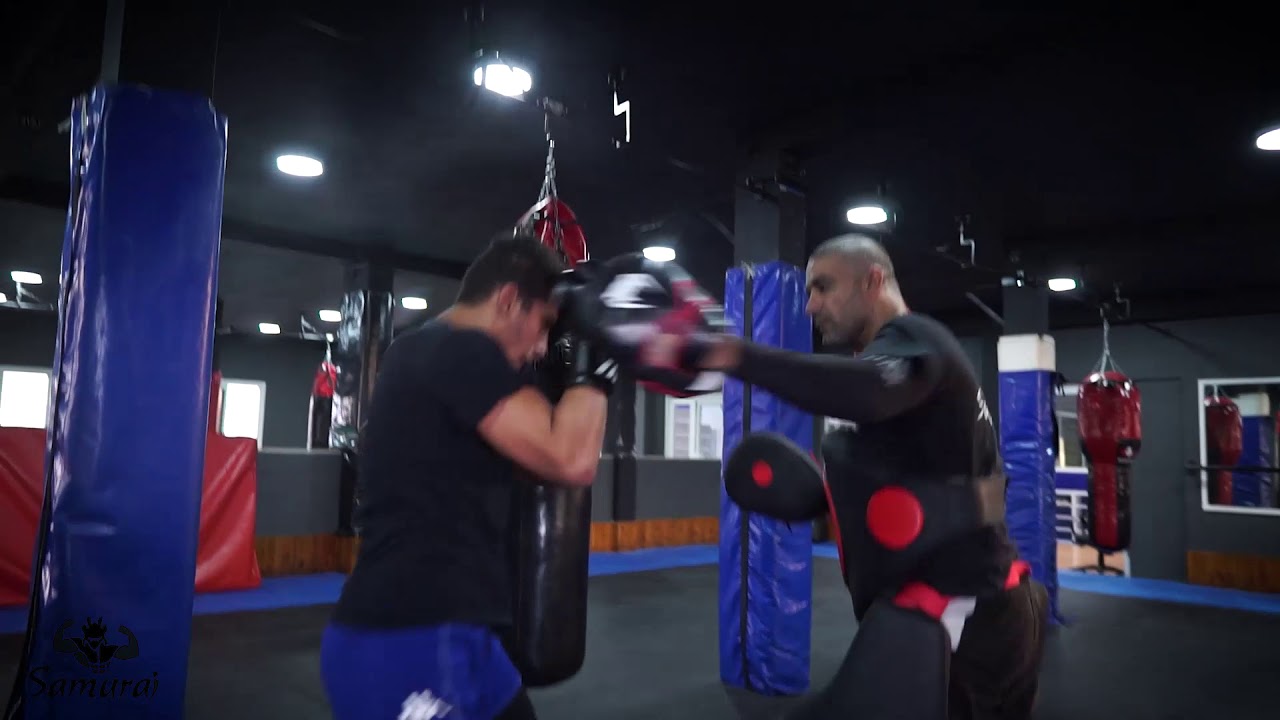 The Warrior (mma)