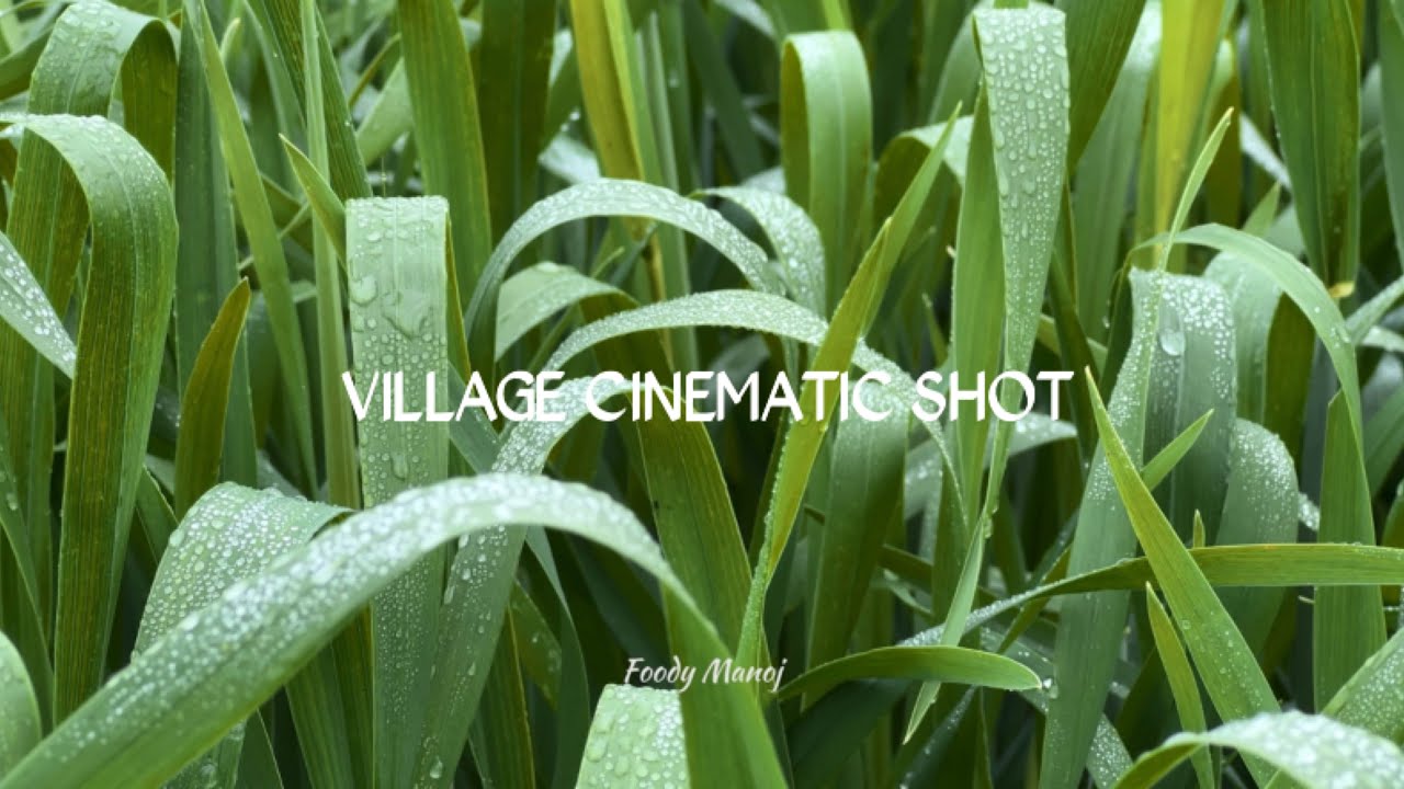 CINMATIC SHOOT IN VILLAGE THHANDIYON KE DIN GAAON KE FASAL 