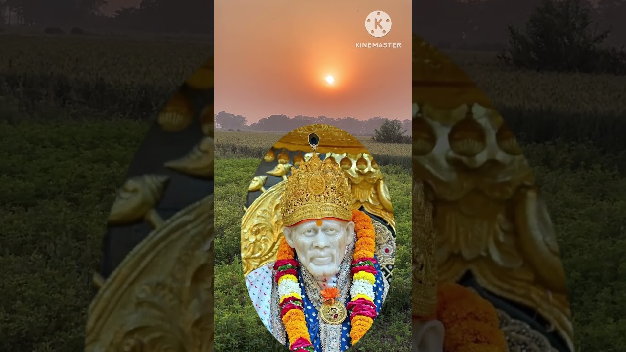 Sai Baba Divya Sandesh Today 🙏 | Om Sai Ram | Sai Message #shorts