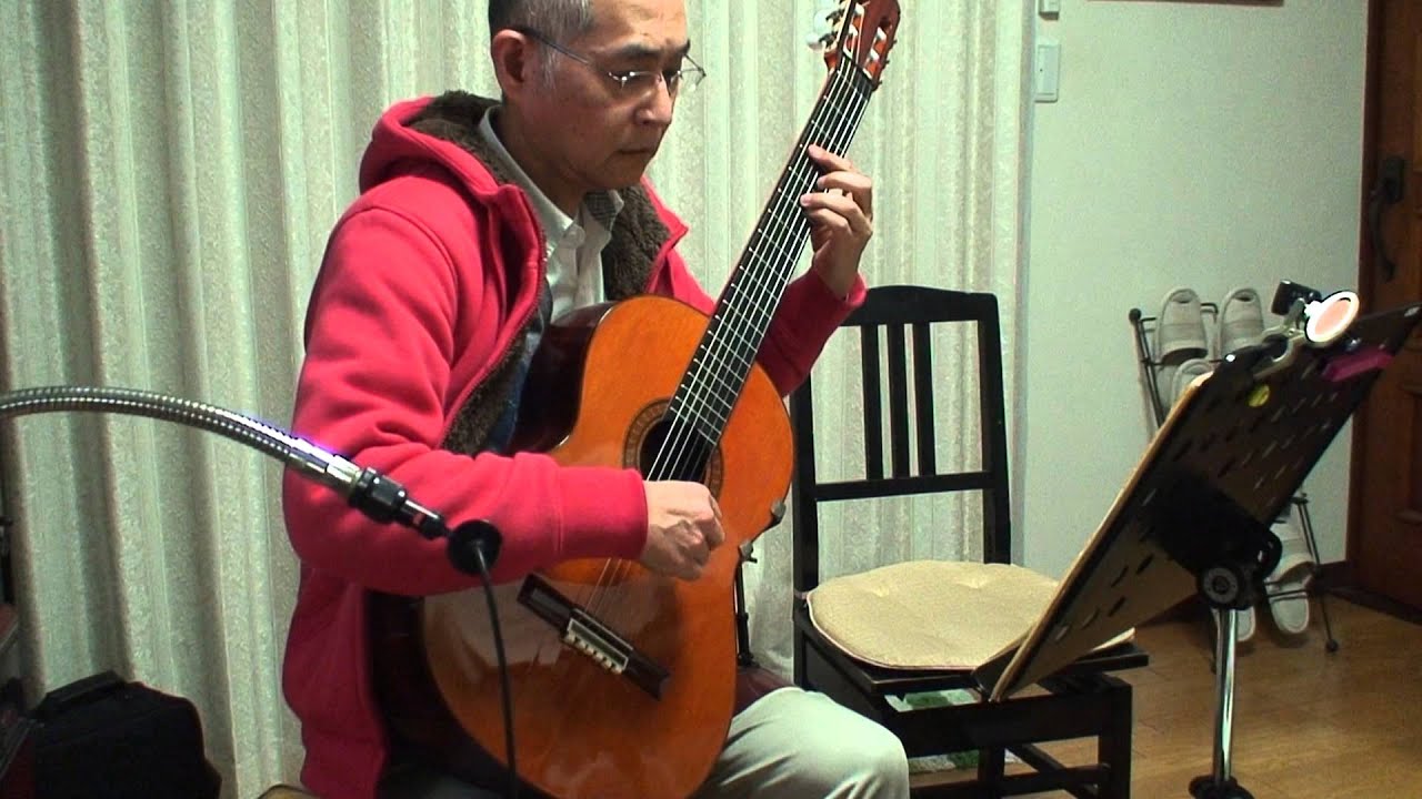 Matteo Carcassi Estudio  25のエチュード Etudes　Op.60-18　カルカッシ 青木一男