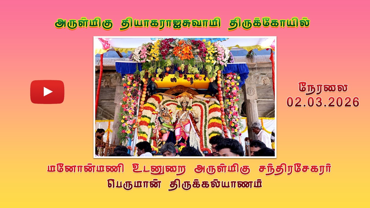 அருள்மிகு தியாகராஜசுவாமி திருக்கோயில் மனோன்மணி  உடனுறை அருள்மிகு சந்திரசேகரர் பெருமான்திருக்கல்யாணம்