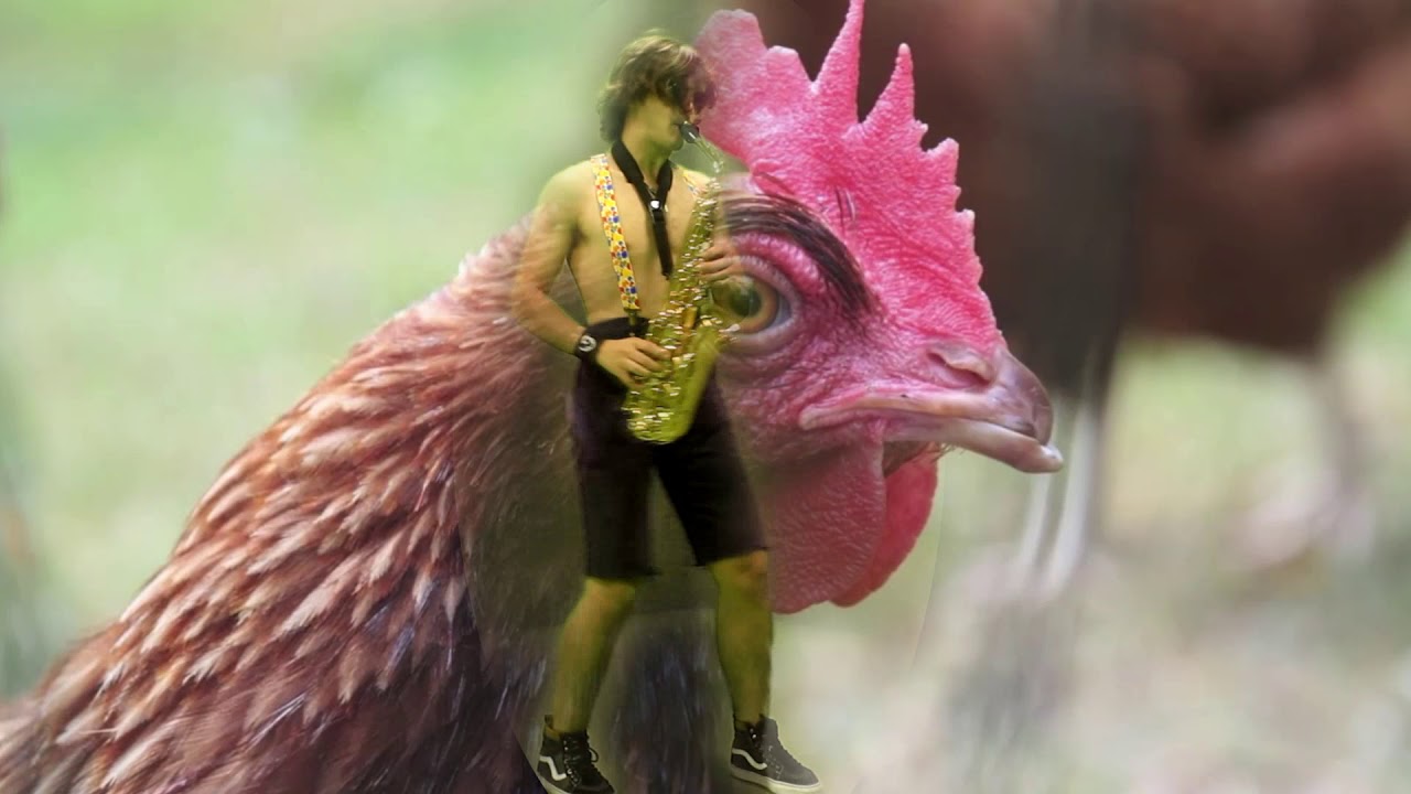 niño terrorista con saxo