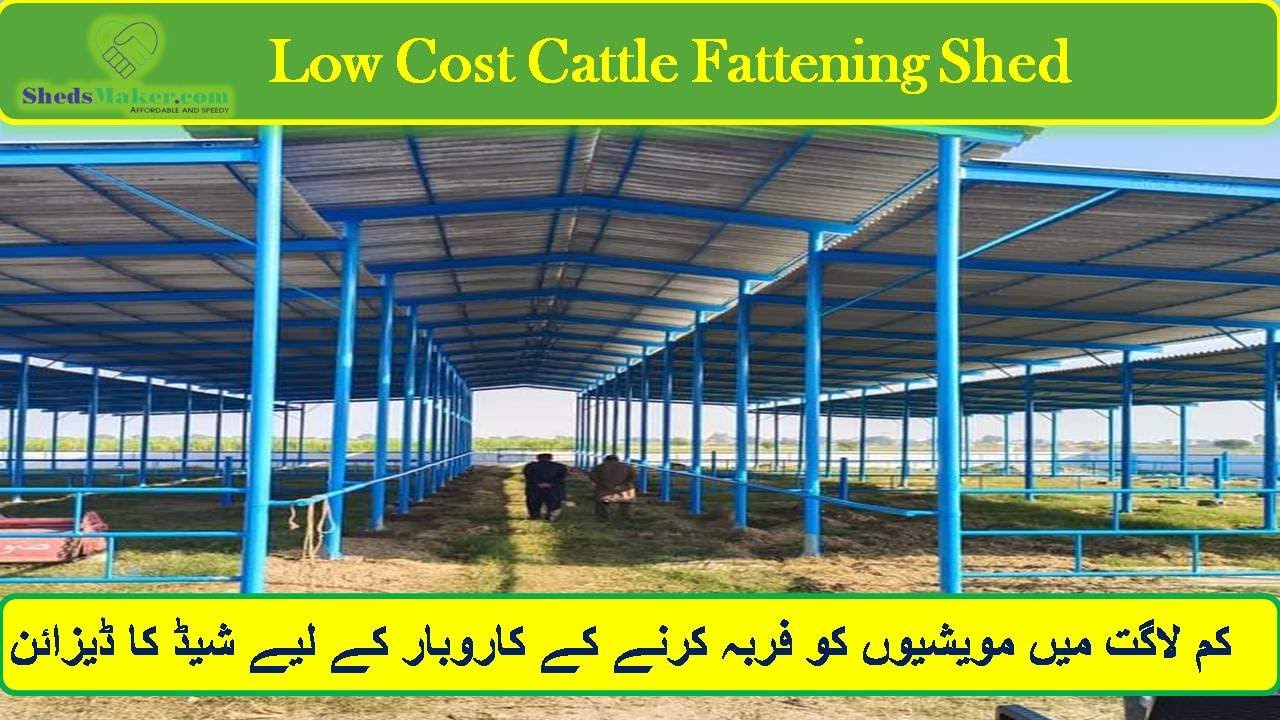 Shed Design for Cattle Fattening in Low Cost کم لاگت میں مویشیوں کو فربہ کرنےکا کے لیے شیڈ کا ڈیزائن