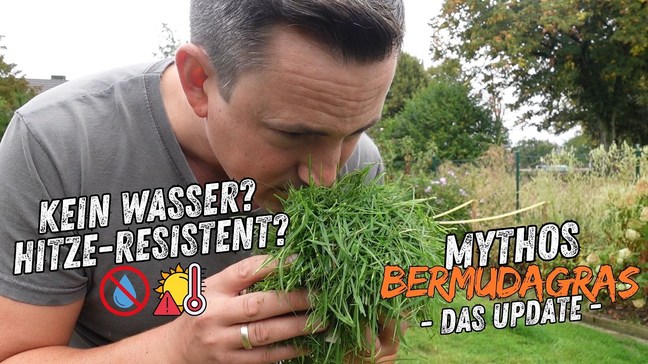 Update zum Bermudagras | wie gut ist es wirklich?